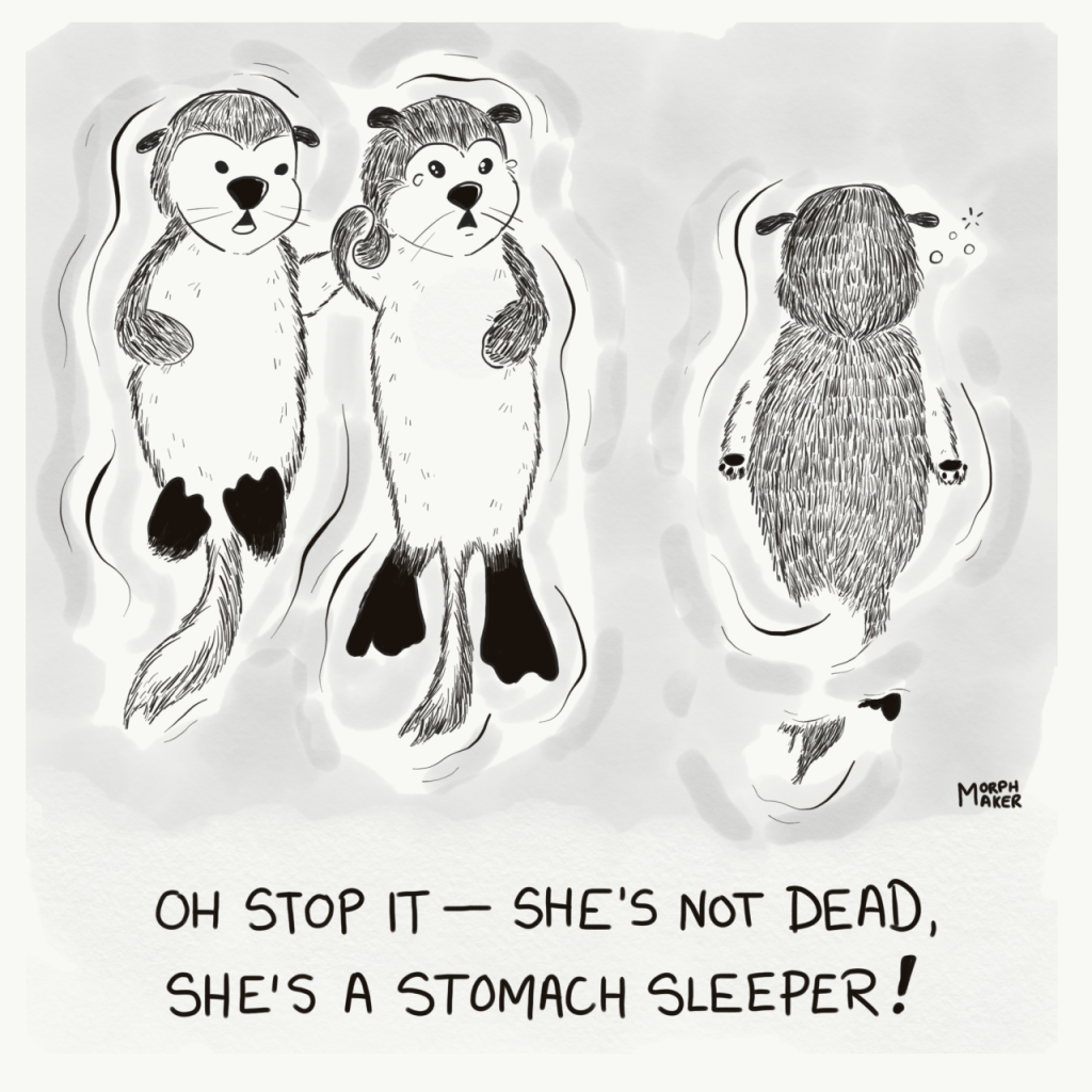 Stomach Sleeper