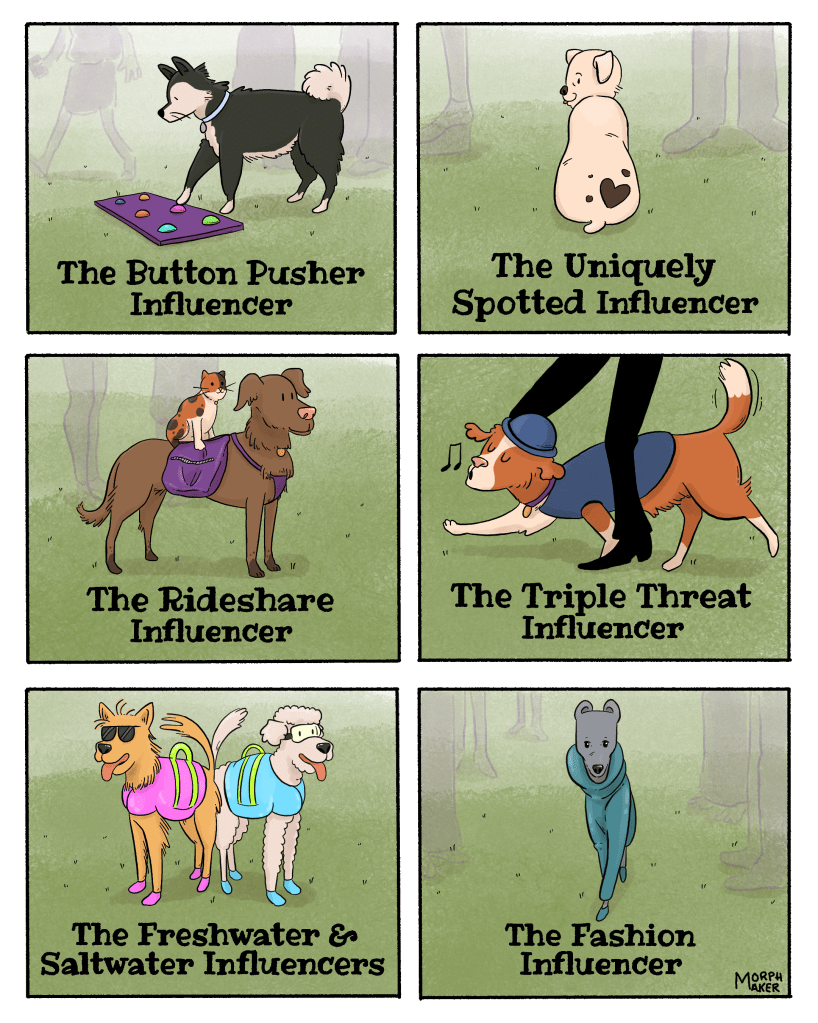 Panel 13: The Button Pusher Influencer. Panel 14: The Uniquely Spotted Influencer. Panel 15: The Rideshare Influencer. Panel 16: The Triple Threat Influencer. Panel 17: The Freshwater & Saltwater Influencers. Panel 18: The Fashion Influencer.