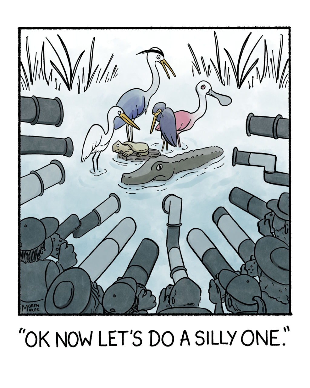 A cartoon about nature&nbsp;photography