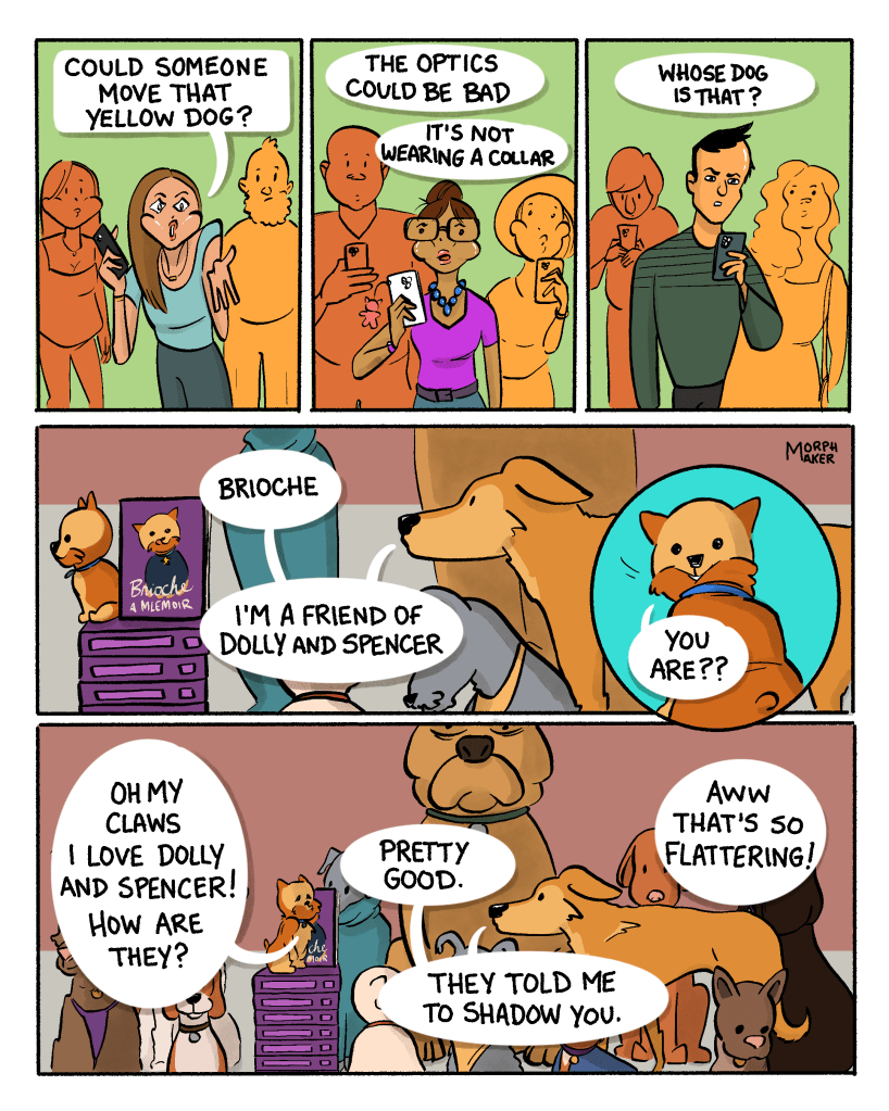 Panel 8, 9, and 10: People are standing around holding their cell phones. They’re saying things like, “Could someone move that yellow dog? The optics could be bad, it’s not wearing a collar. Whose dog is that?” Panel 11: Lindy keeps trying to get Brioche’s attention and says, “Brioche, I’m a friend of Dolly and Spencer.” Panel 12: Brioche’s head whips around 180º. Brioche says, “You are??” Panel 13: Brioche says, “Oh my Claws I love Dolly and Spencer! How are they?” Lindy replies, “Pretty good. They told me to shadow you.” Brioche says, “Aww that’s so flattering!”